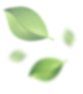 leafs